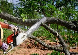 How Our Tree Care Process Works  in  Fairway, KS